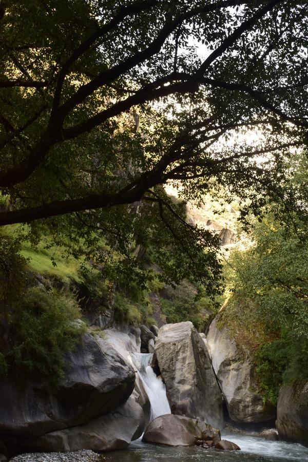 Offbeat Abodes - Tirthan Valley Banjār Exteriér fotografie